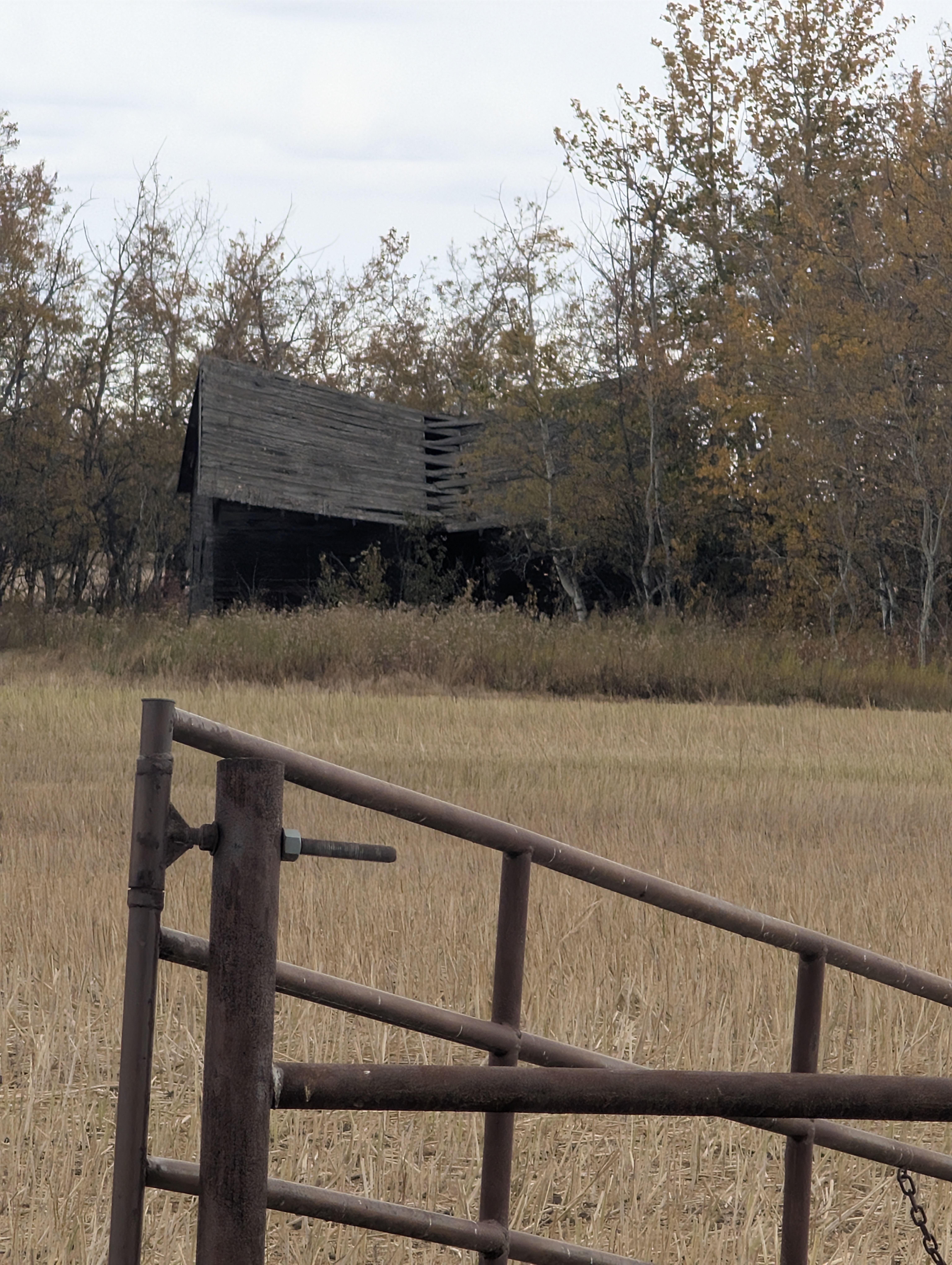 Photo of Old Farmstead