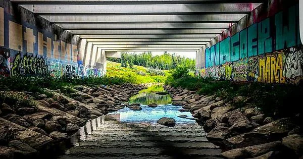 Photo of Henday Wildlife Underpass