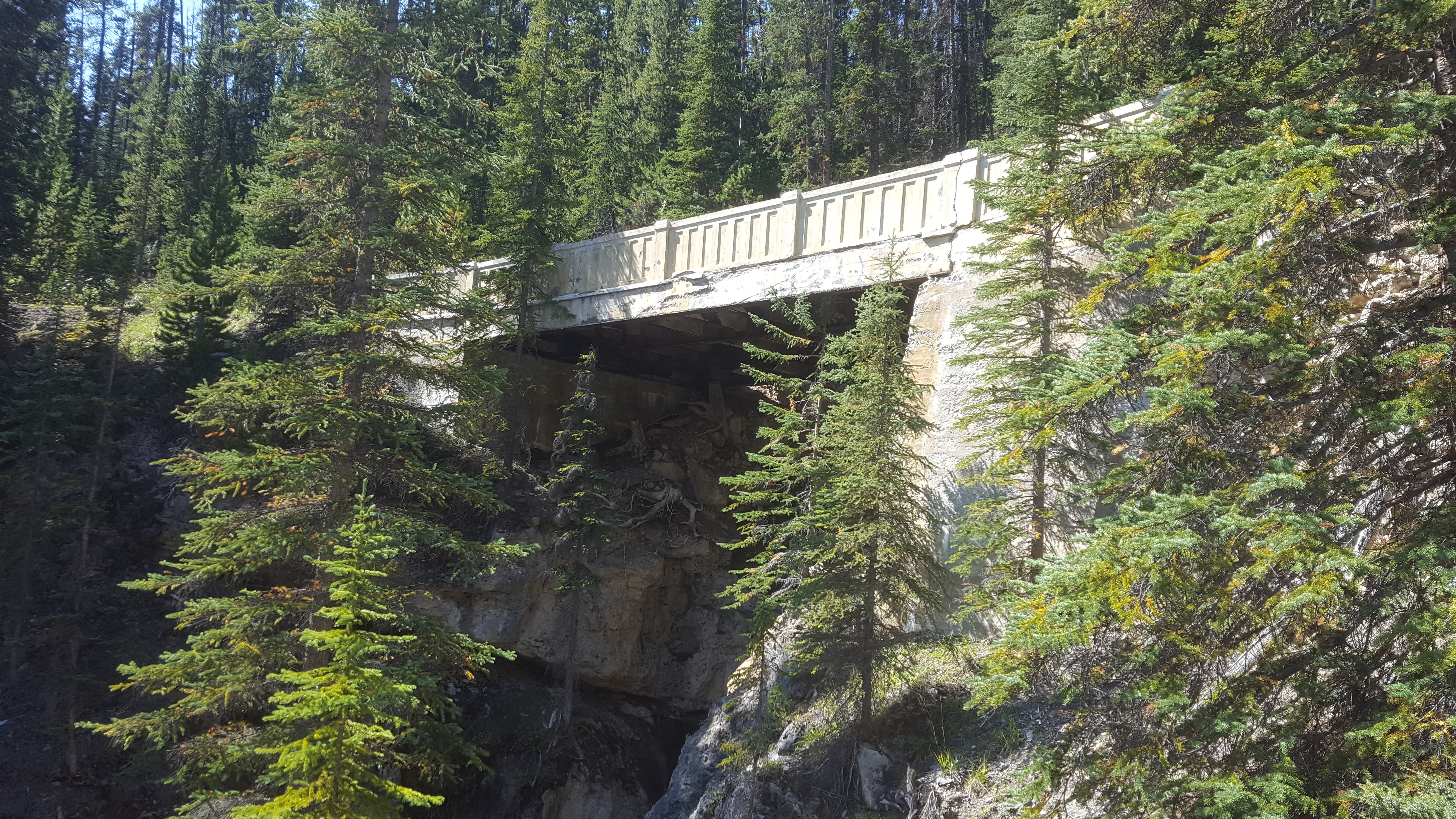 Photo of Old Icefields Parkway